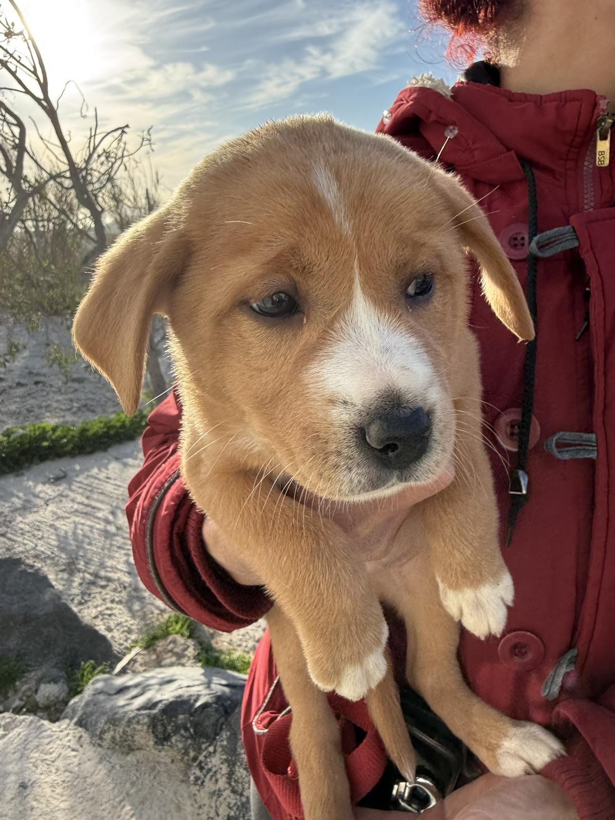 ΛΟΥΝΑ - Image 3