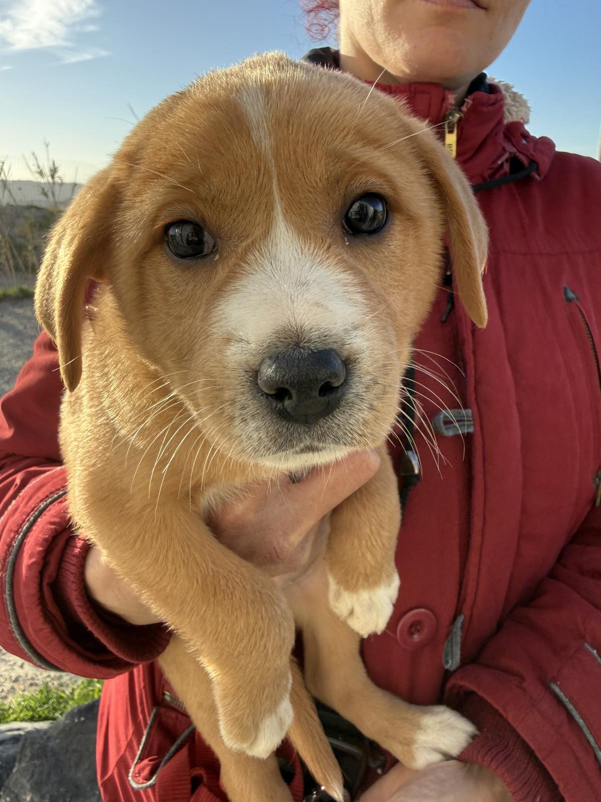 ΛΟΥΝΑ - Image 4