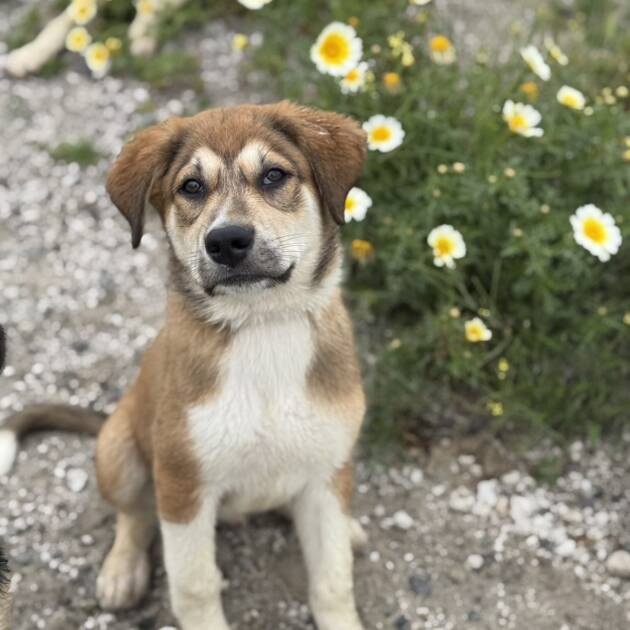 DJANGO